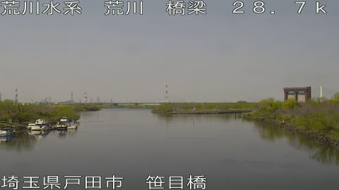 arasa2026032912_image