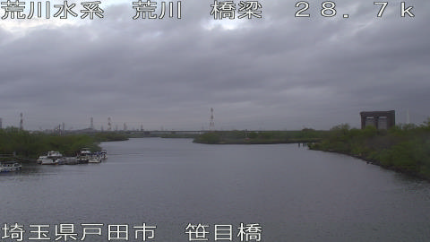 arasa2026041006_image