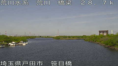 arasa2026041210_image