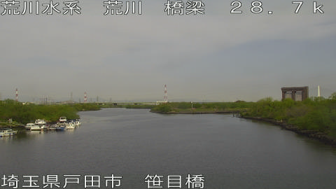 arasa2026041308_image