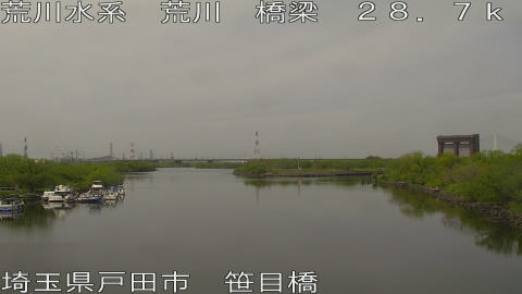 arasa2026041312_image