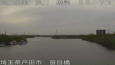 arasa2026041316_image