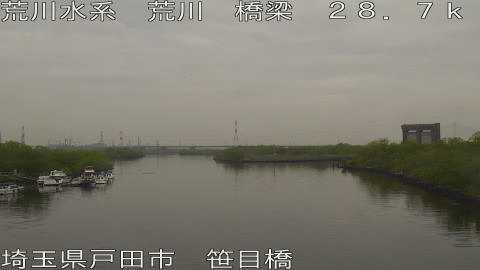 arasa2026041508_image