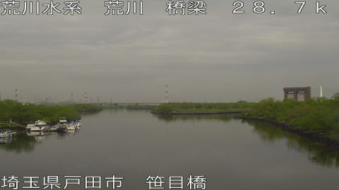 arasa2026041509_image