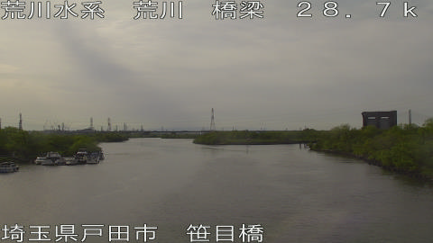 arasa2026041716_image