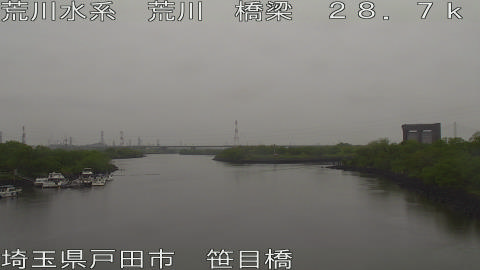 arasa2026042316_image