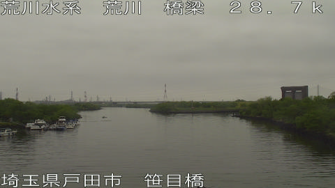 arasa2026042909_image