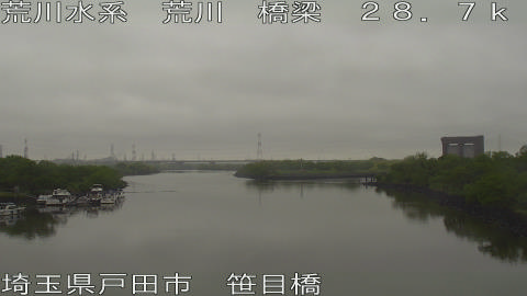 arasa2026050113_image