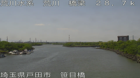 arasa2026050213_image