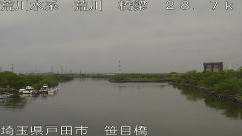 arasa2026050611_image