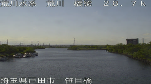 arasa2026051115_image