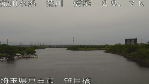 arasa2026060211_image