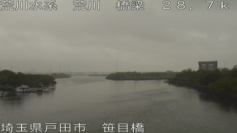arasa2026061812_image