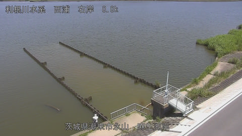 aso2025061812_image