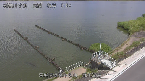 aso2025081412_image