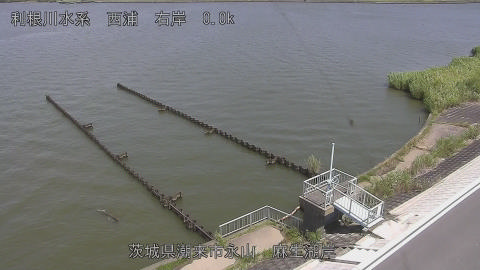 aso2025081712_image