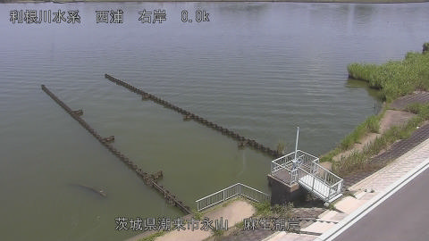 aso2026072012_image