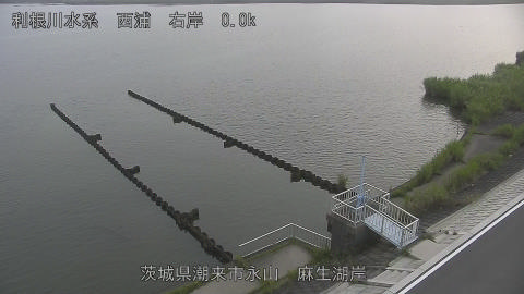 aso2026080106_image