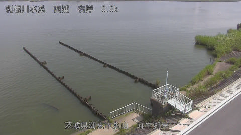 aso2026080110_image