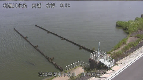 aso2026080111_image