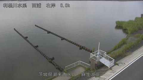 aso2026080117_image