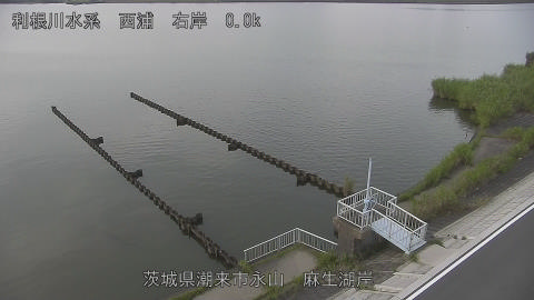 aso2026080118_image