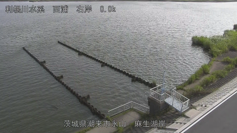 aso2026080208_image