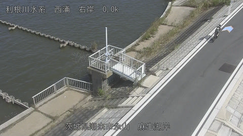 aso2026101012_image