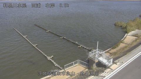 aso2026101312_image