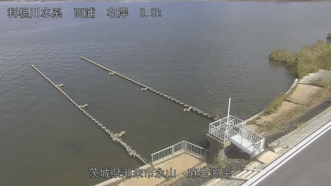 aso2026101612_image