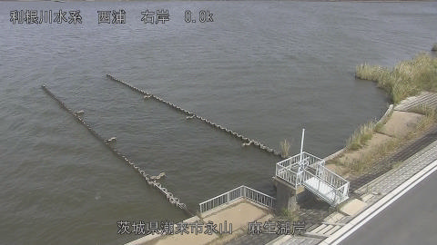 aso2026101912_image