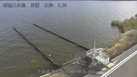 aso2026102308_image