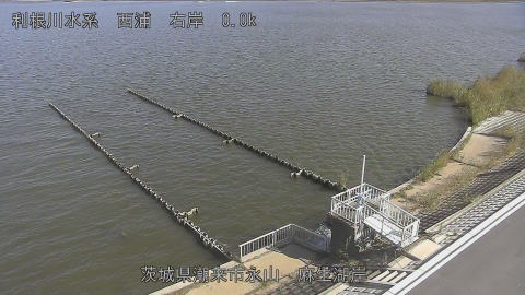 aso2026102310_image