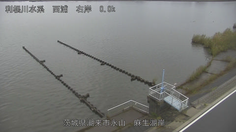 aso2026102408_image