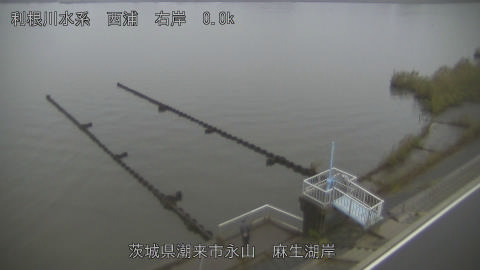 aso2026102417_image