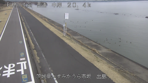 dejima2026011912_image