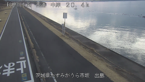 dejima2026020207_image