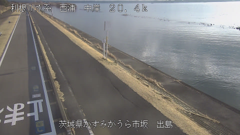 dejima2026020208_image