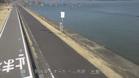 dejima2026020212_image