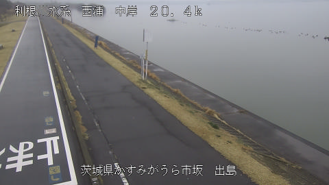 dejima2026031910_image