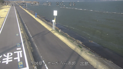 dejima2026031917_image