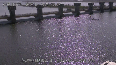 hitamn2025110712_image