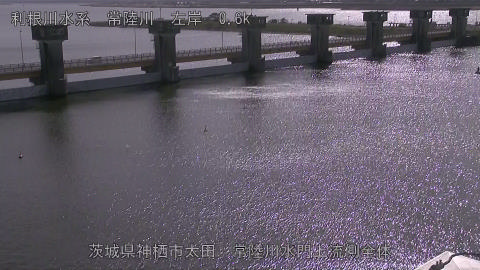 hitamn2025110812_image