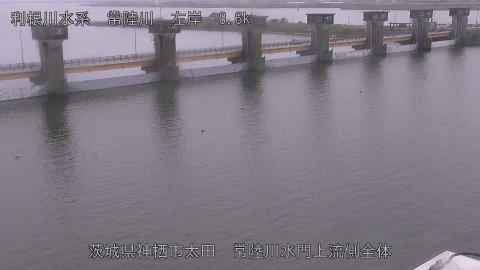 hitamn2025110912_image