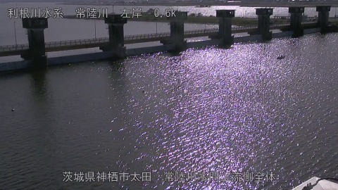 hitamn2025111212_image