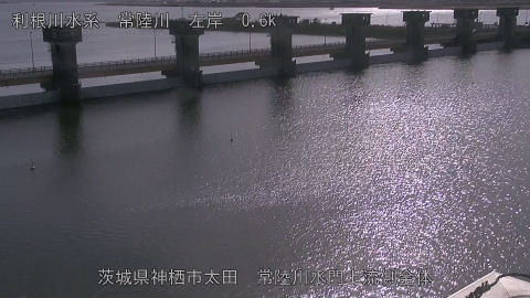 hitamn2025111512_image