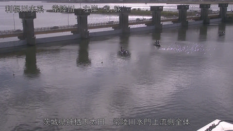 hitamn2025112212_image