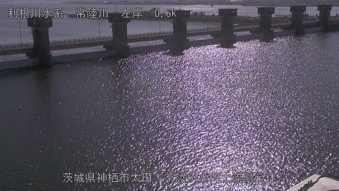 hitamn2025112412_image