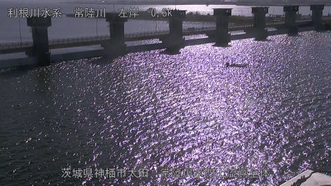 hitamn2025112812_image