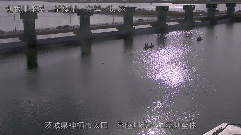 hitamn2025112912_image